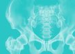 Pelvic anatomy illustration showing the pelvis and sacrum