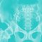Pelvic anatomy illustration showing the pelvis and sacrum