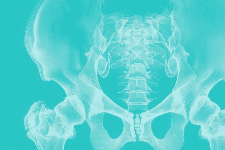 Pelvic anatomy illustration showing the pelvis and sacrum